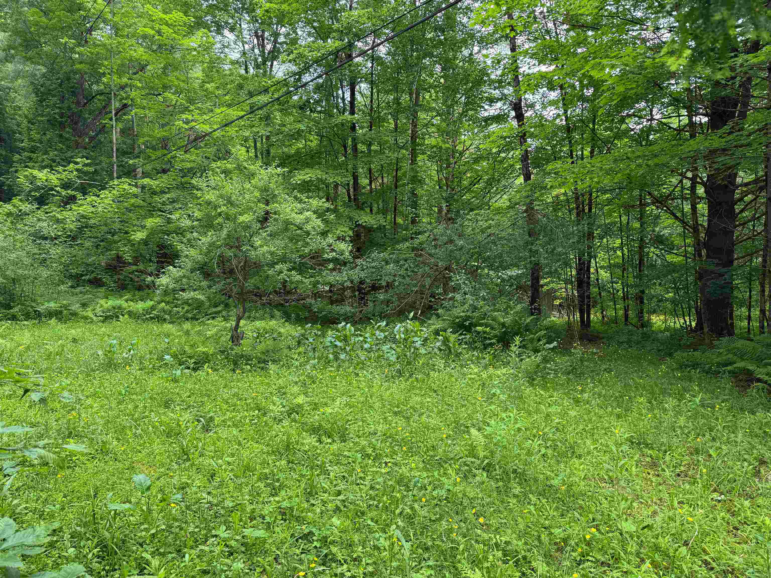 8 Brickyard Road Dover, VT 05341 - Photo 7 of 17