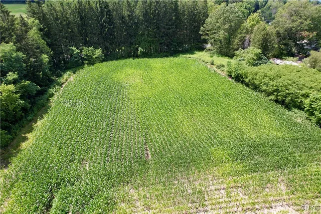 $55,000 | 0 East Lake Road, De Ruyter, NY 13052