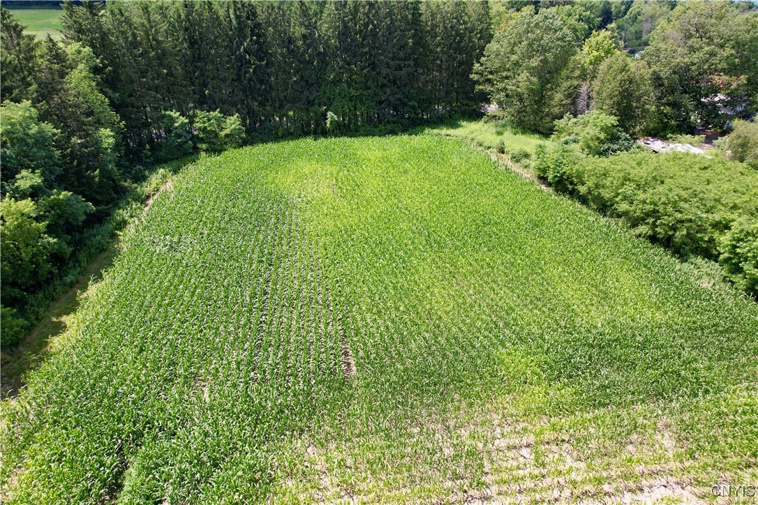 0 East Lake Road De Ruyter, NY 13052 - Photo 3 of 6