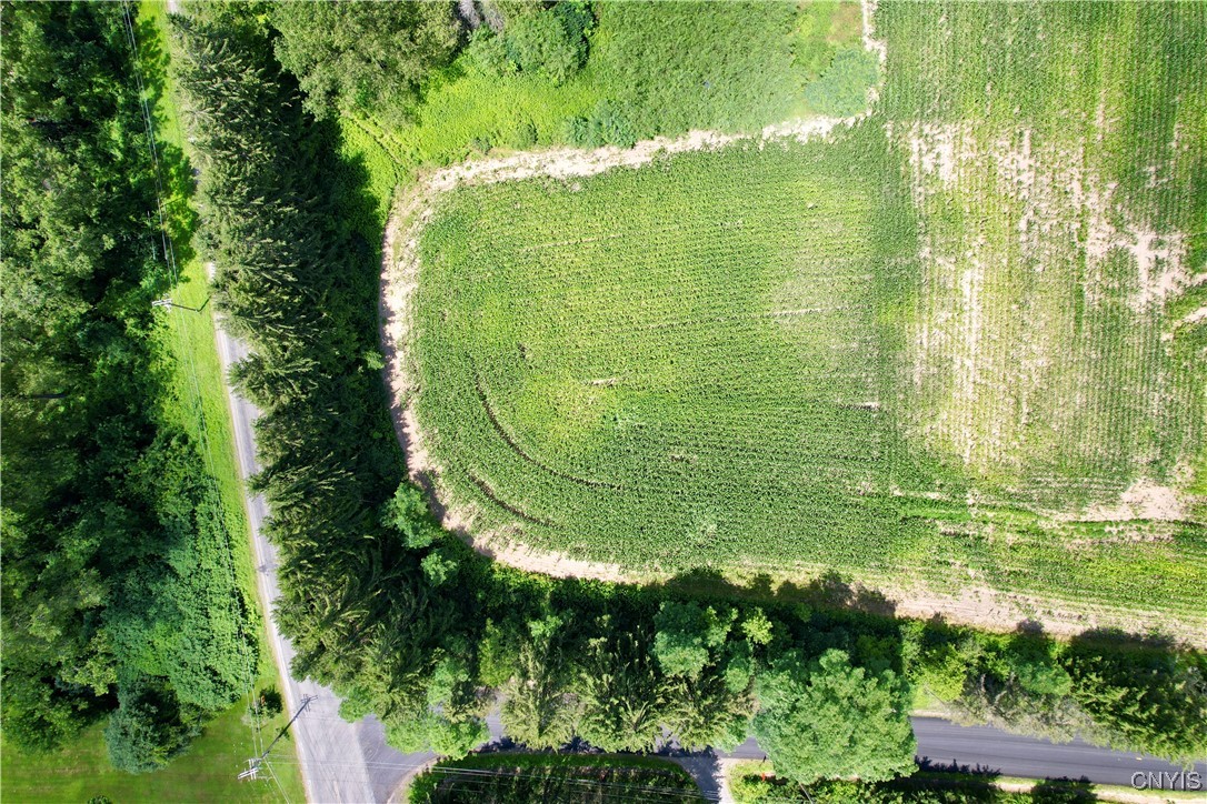 0 East Lake Road De Ruyter, NY 13052 - Photo 4 of 6