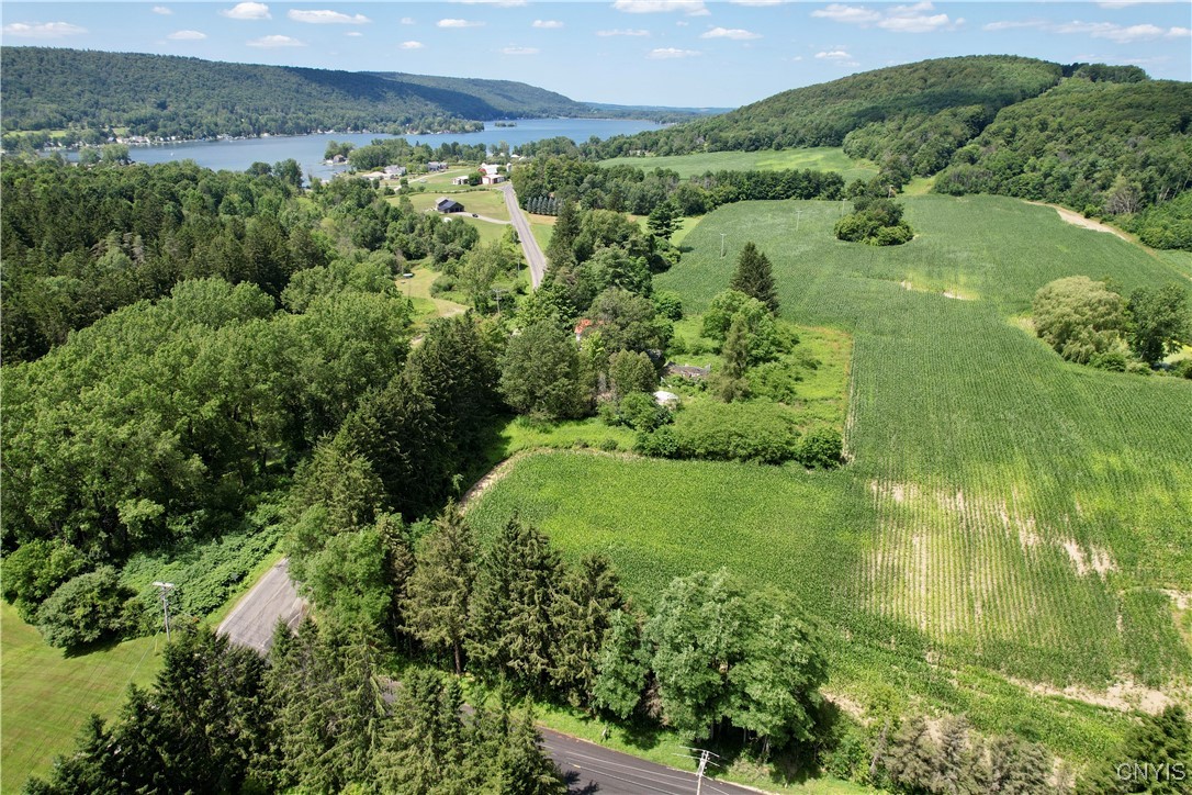 0 East Lake Road De Ruyter, NY 13052 - Photo 6 of 6