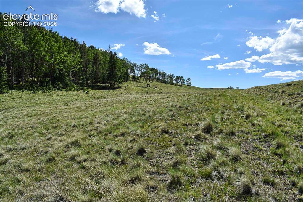 0 Bear Cat Road Guffey, CO 80820 - Photo 3 of 40
