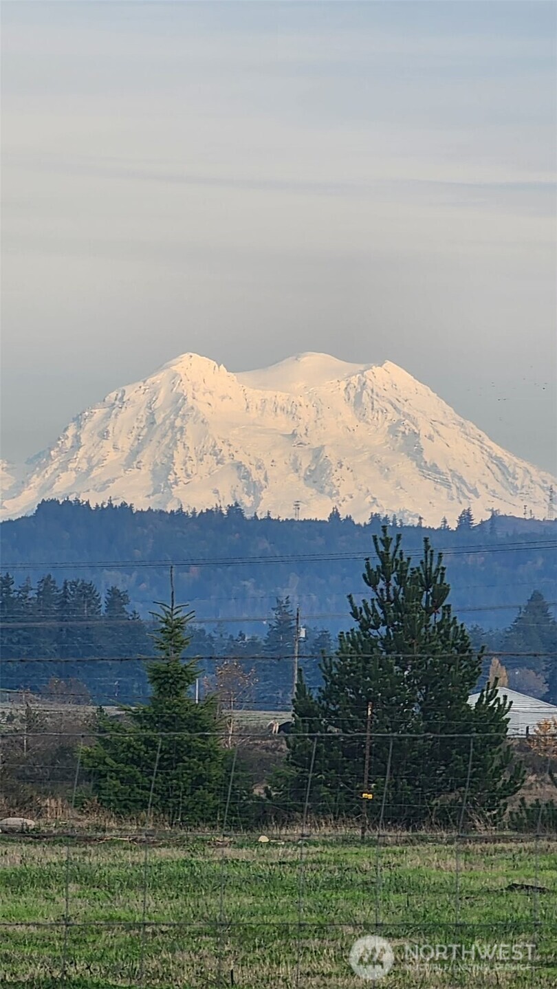 16826 Sheldon Lane Southwest Rochester, WA 98579 - Photo 2 of 40