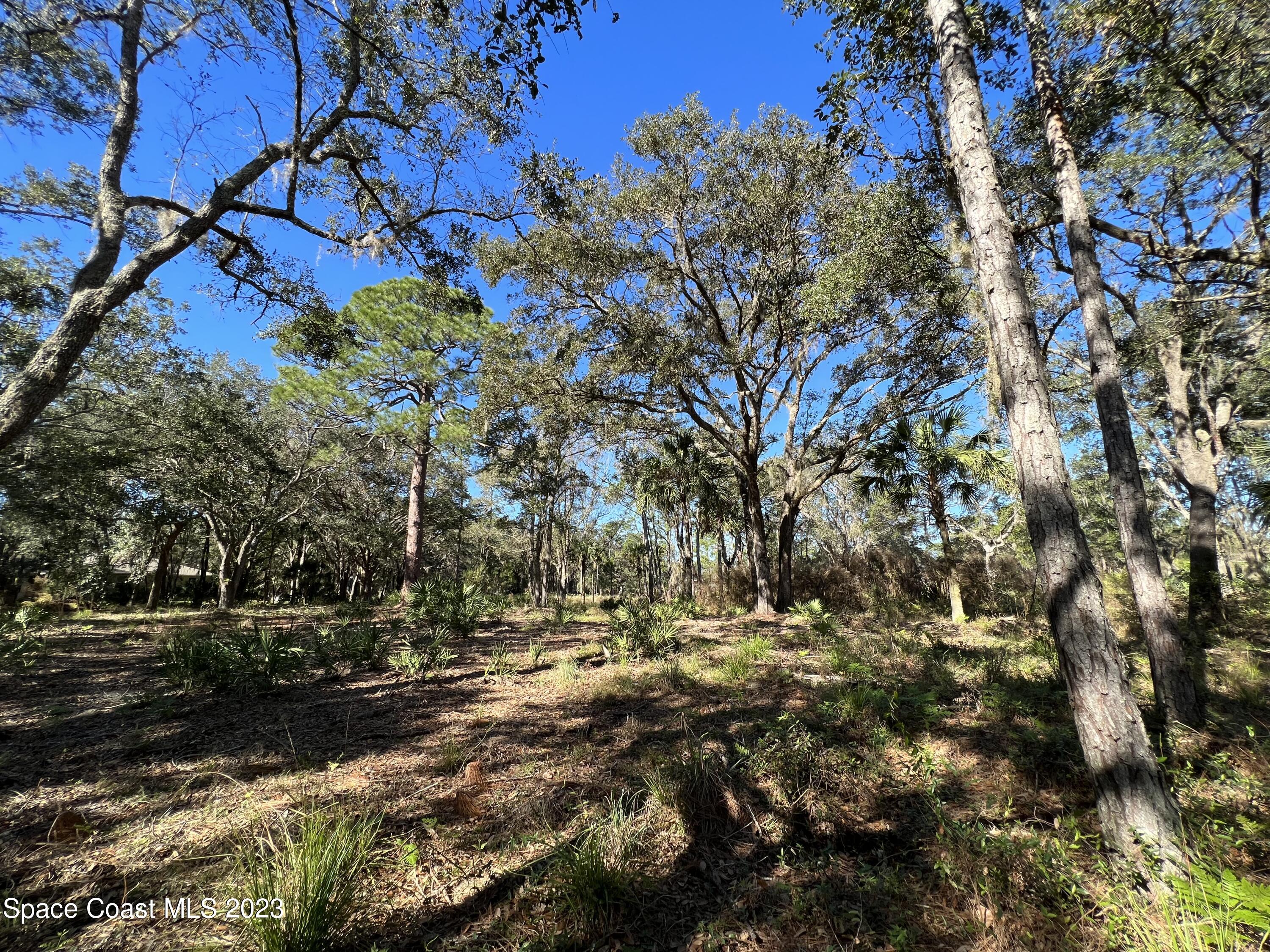 1665 Arch Road Mims, FL 32754 - Photo 10 of 22 17218843-EF44-401B-ABCB-2D2A6253DD64