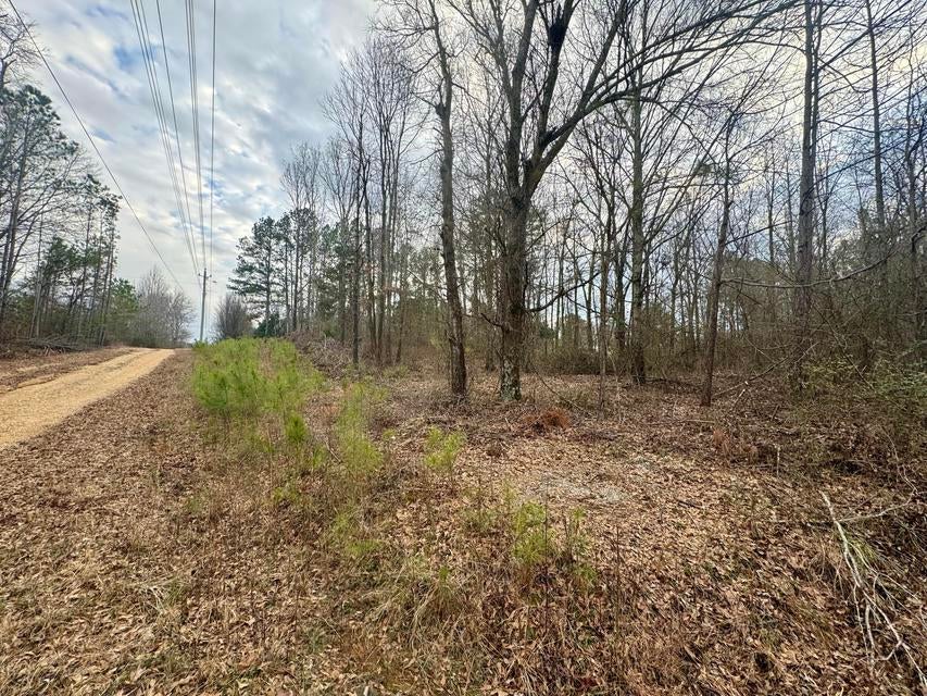 3 Sartain Road Dennis, MS 38838 - Photo 4 of 5 20250208212129945763000000-o