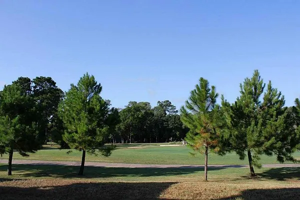 $1,600 | 16020 Fountainview Drive, Unit 2, Montgomery, TX 77356