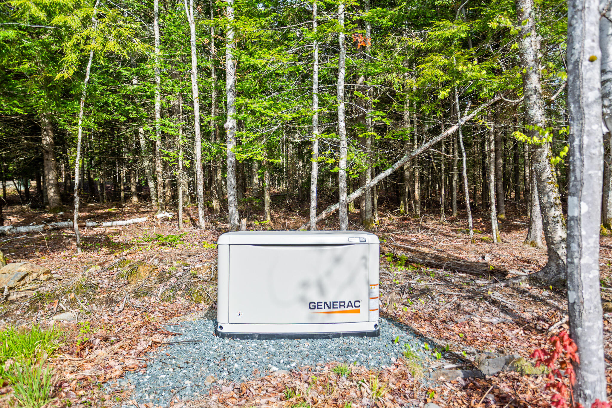 1095 Mariaville Road Ellsworth, ME 04605 - Photo 42 of 51 int-ex-2