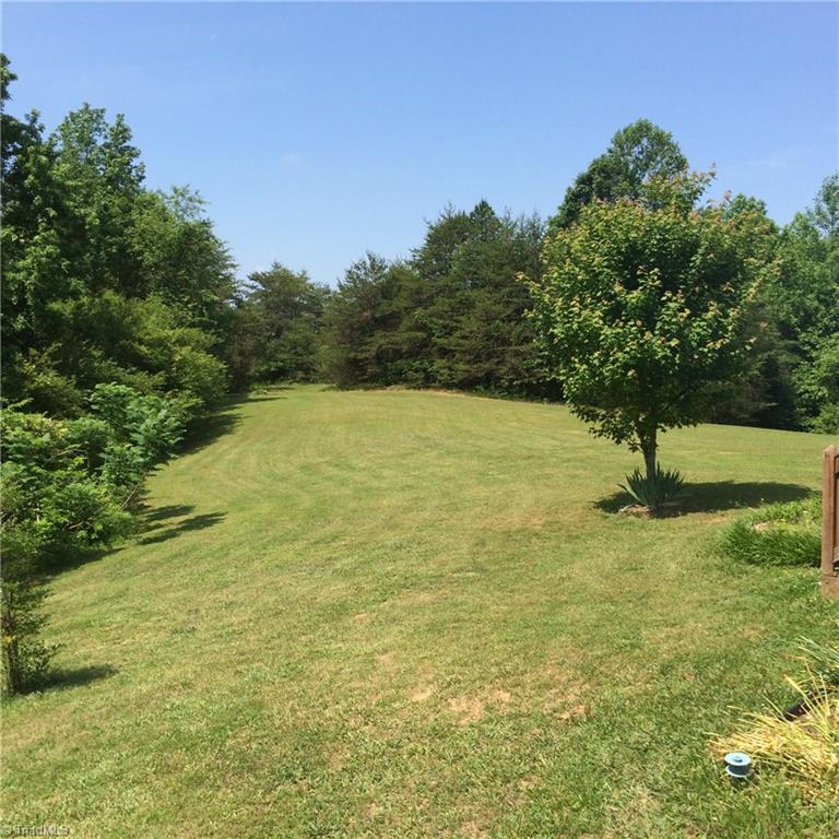 1784 Spainhour Mill Road Pinnacle, NC 27043 - Photo 4 of 13 Gallery Image 4