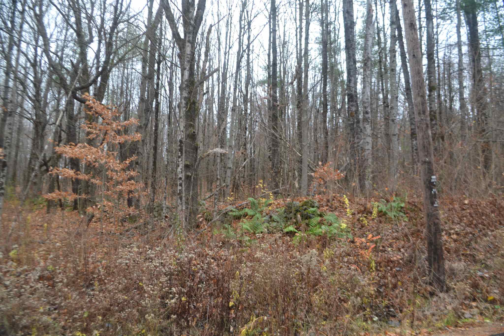 7 Neal Shore Road Meredith, NH 03253 - Photo 4 of 5