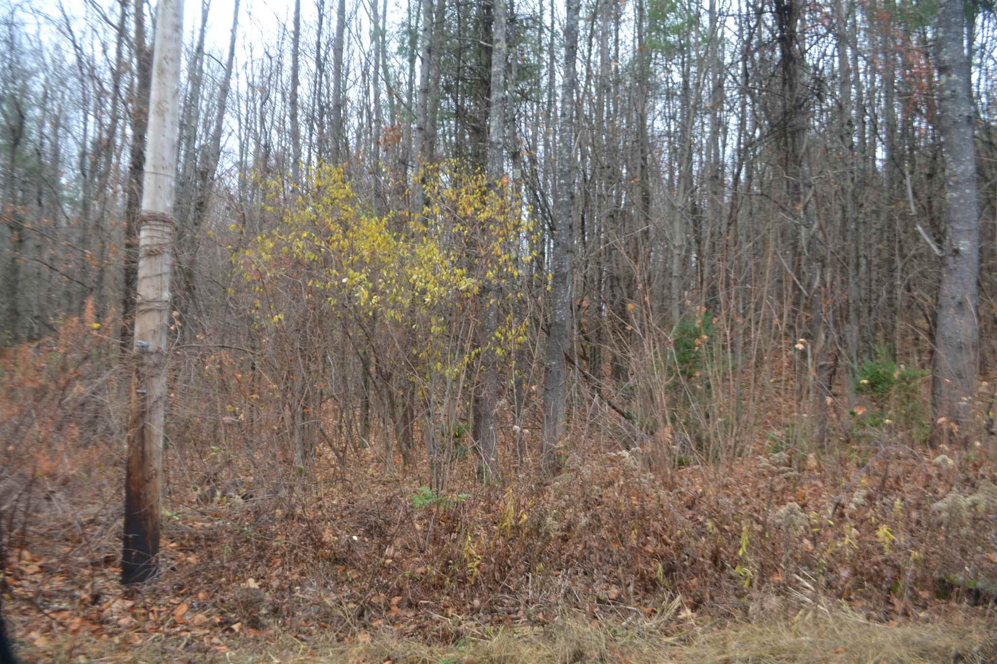 7 Neal Shore Road Meredith, NH 03253 - Photo 5 of 5