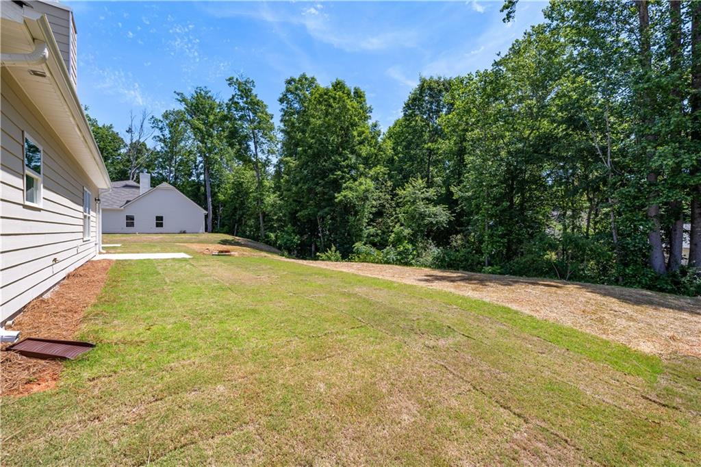 503 Charleston Place Villa Rica, GA 30180 - Photo 4 of 33