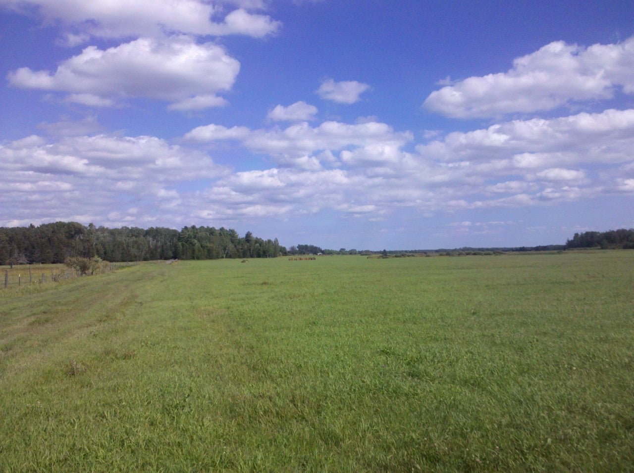 0 10 West 10 Mile Road Dafter, MI 49724 - Photo 2 of 7 Gallery Image 2
