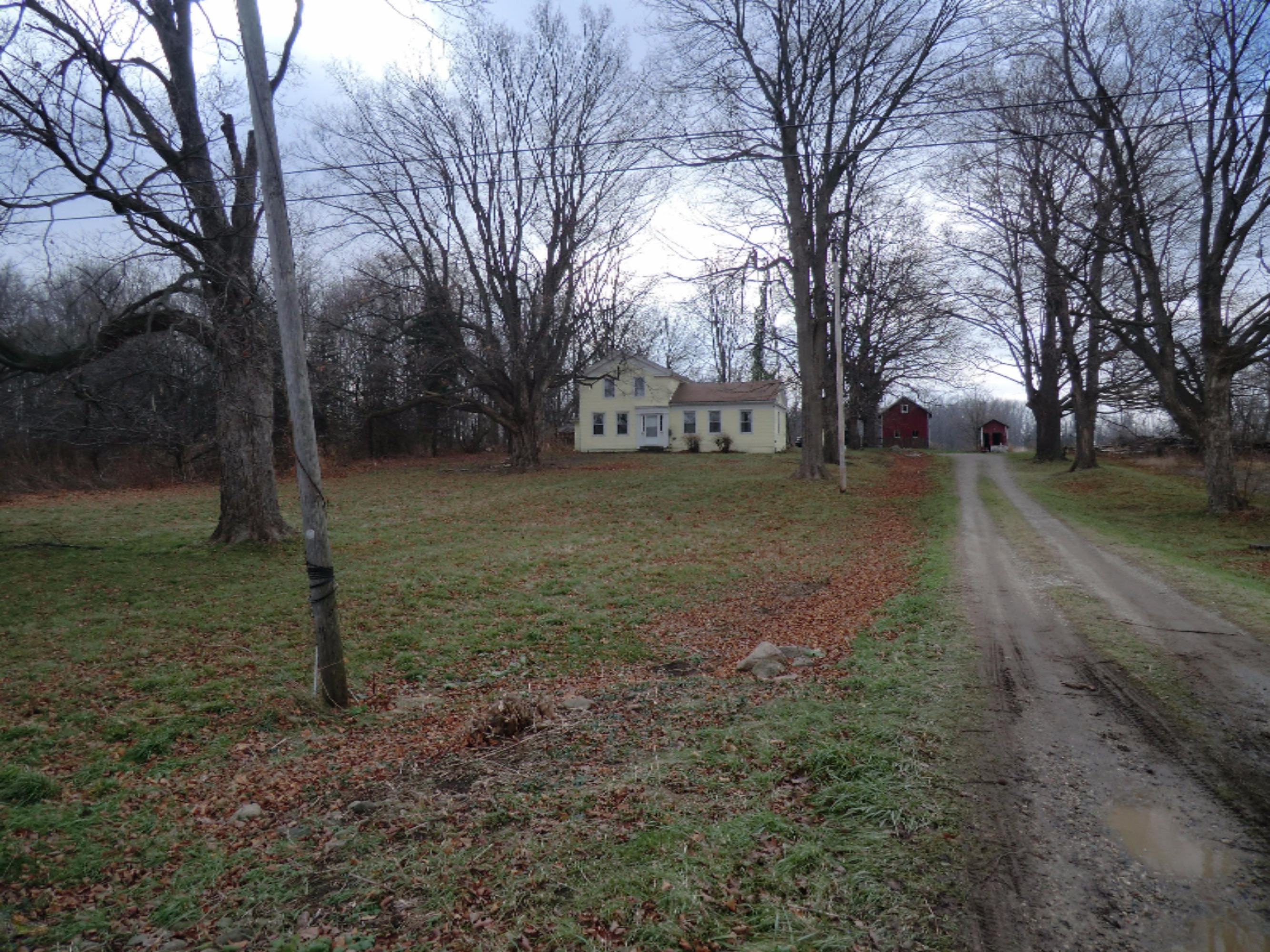1159 East Chicago Road Quincy, MI 49082 - Photo 2 of 31 CIMG4877