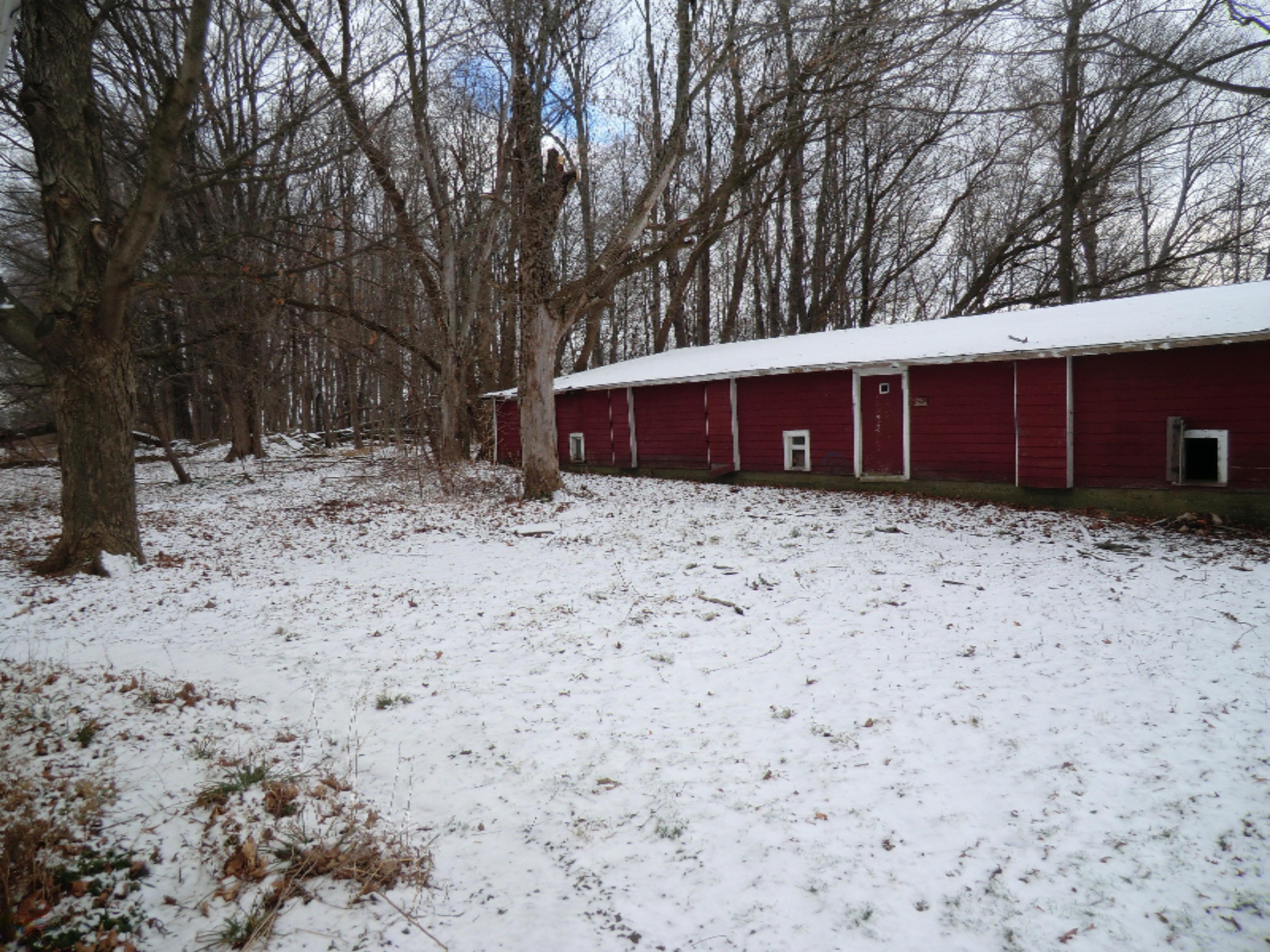 1159 East Chicago Road Quincy, MI 49082 - Photo 27 of 31 CIMG4922
