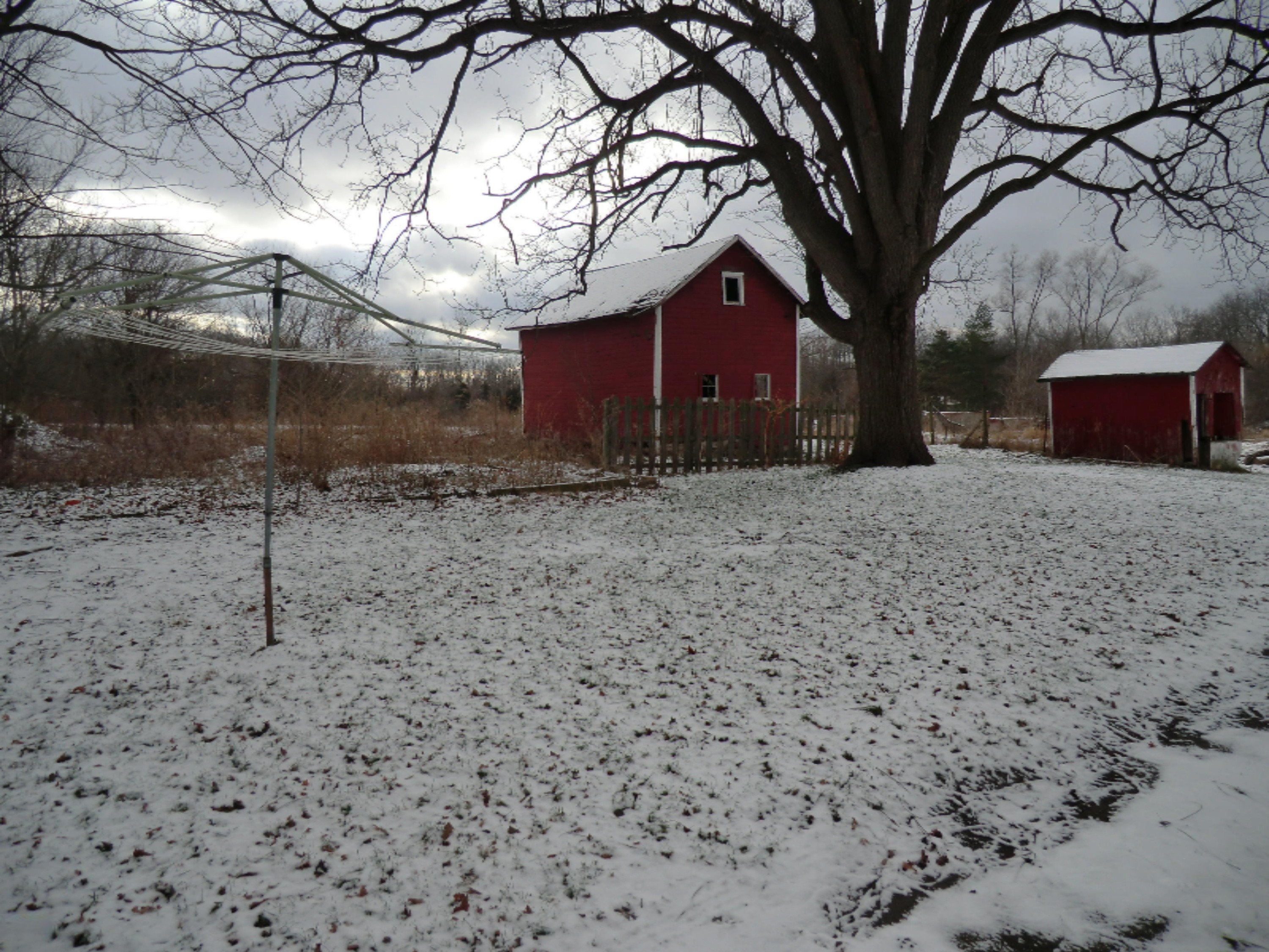 1159 East Chicago Road Quincy, MI 49082 - Photo 28 of 31 CIMG4923