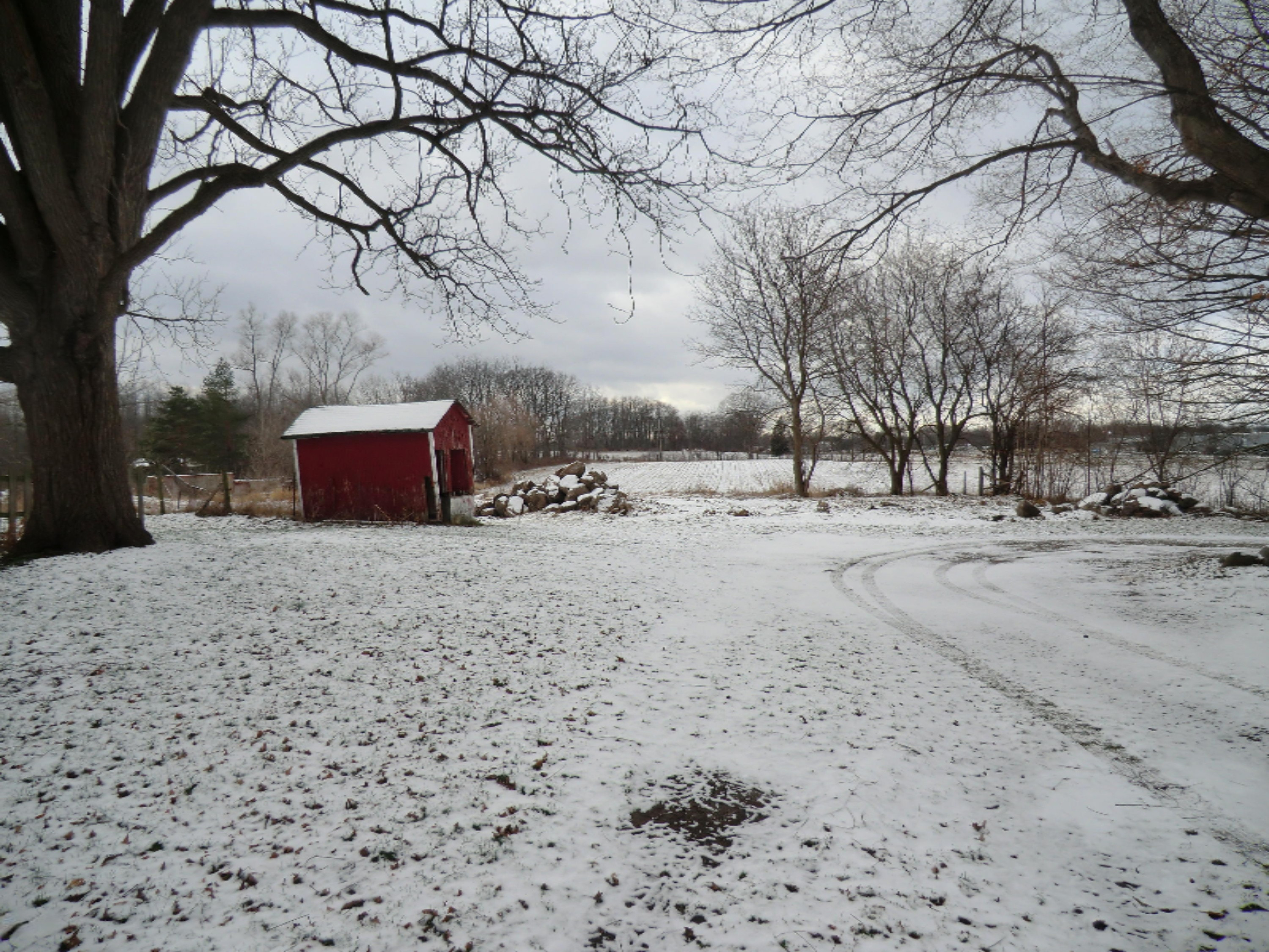 1159 East Chicago Road Quincy, MI 49082 - Photo 29 of 31 CIMG4924