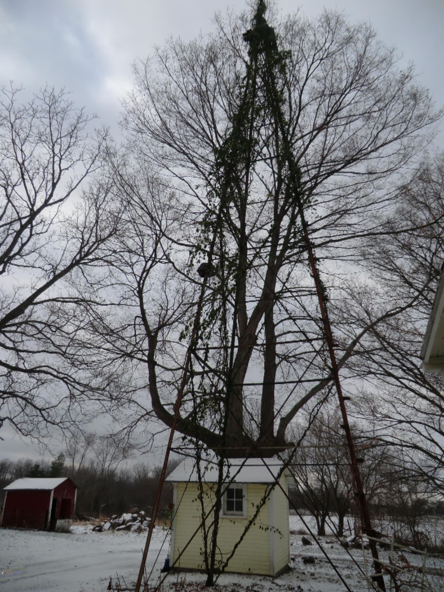 1159 East Chicago Road Quincy, MI 49082 - Photo 30 of 31 CIMG4925