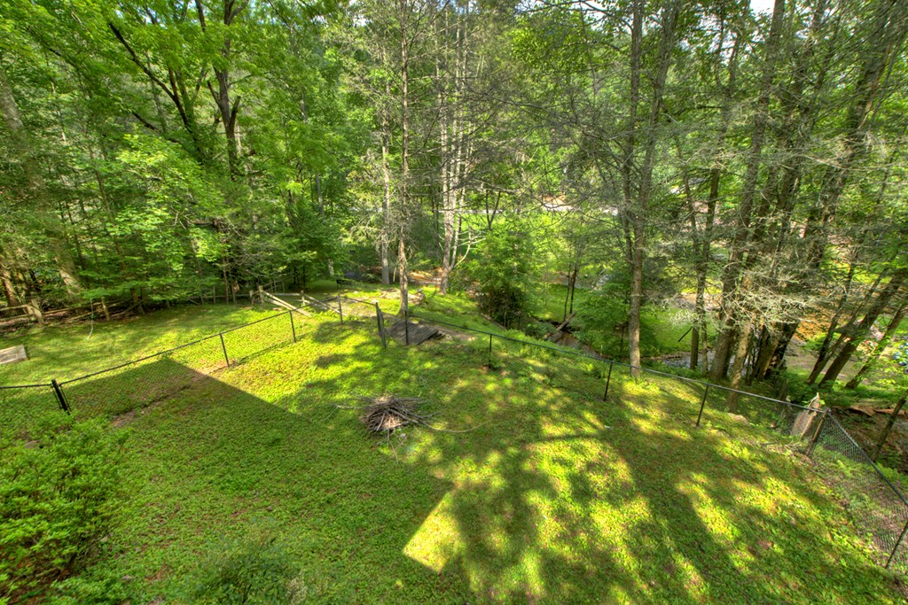 106 Butler Creek Road Cherry Log, GA 30522 - Photo 23 of 58