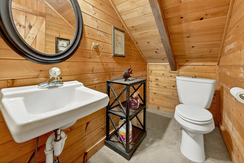 106 Butler Creek Road Cherry Log, GA 30522 - Photo 34 of 58