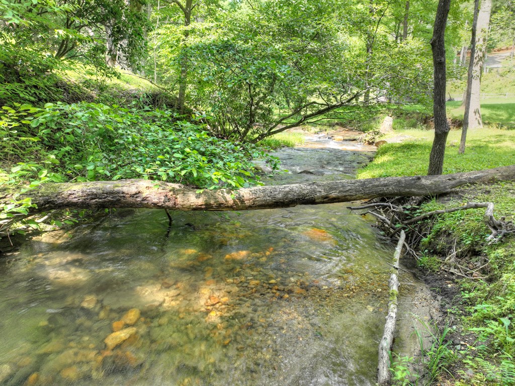 106 Butler Creek Road Cherry Log, GA 30522 - Photo 38 of 58