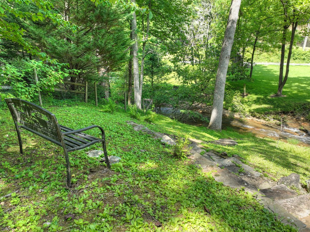 106 Butler Creek Road Cherry Log, GA 30522 - Photo 43 of 58