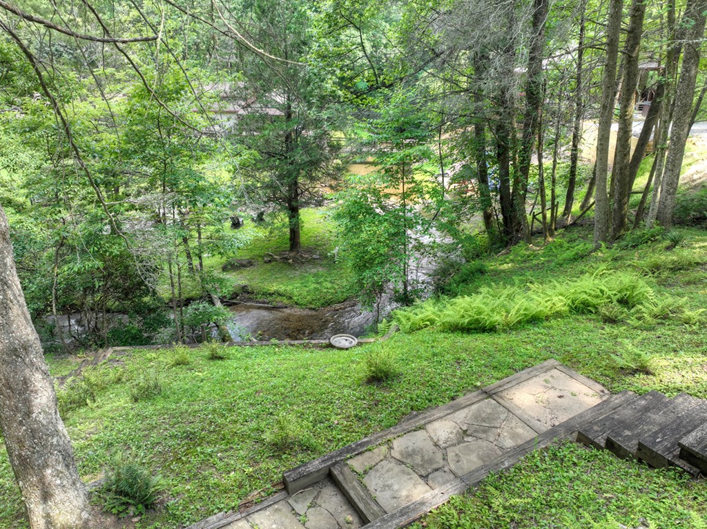 106 Butler Creek Road Cherry Log, GA 30522 - Photo 48 of 58