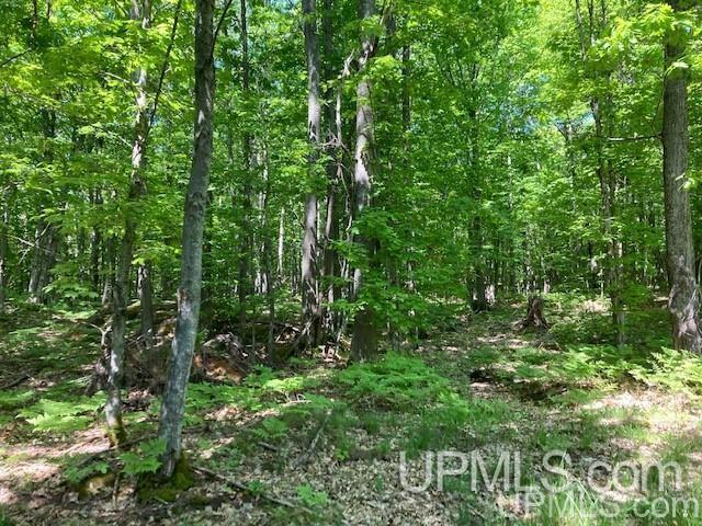 Tbd Worham Road Chassell, MI 49916 - Photo 1 of 45 Gallery Image 1