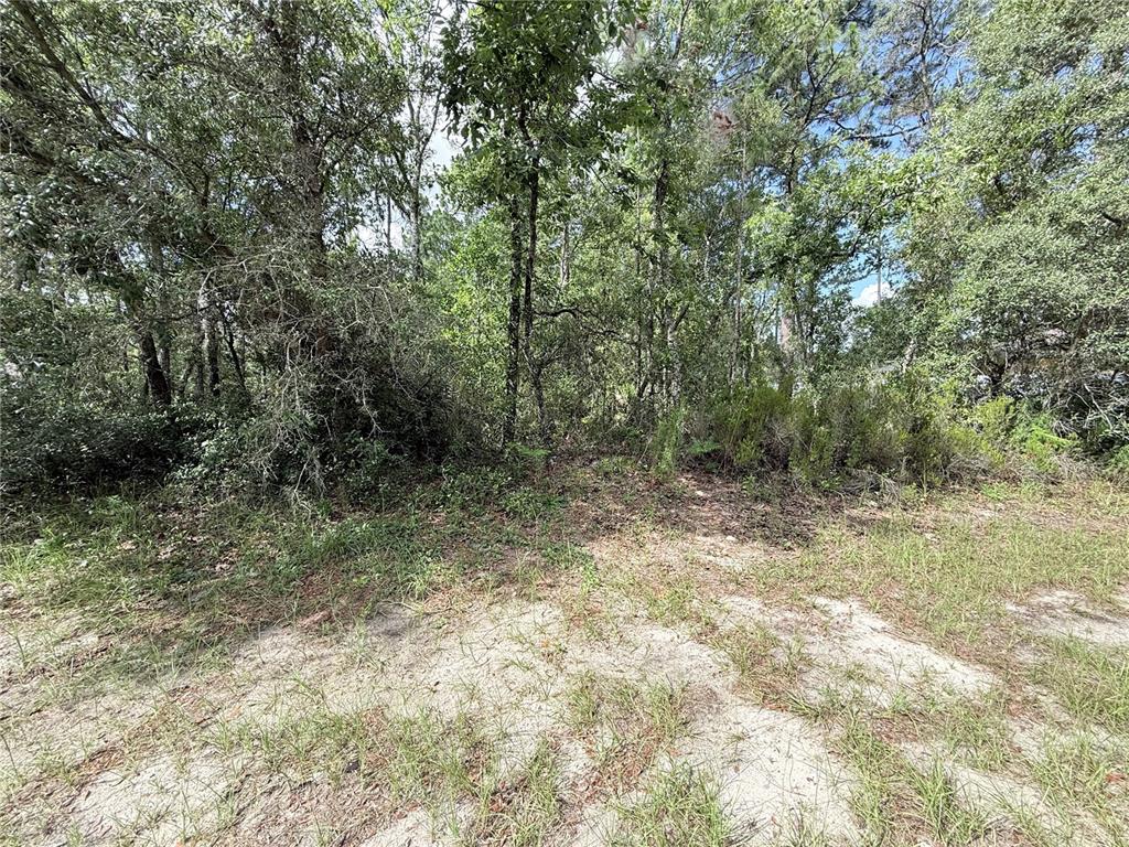 Tbd Southwest Tbd Sw 65th Avenue Road Ocala, FL 34473 - Photo 1 of 4