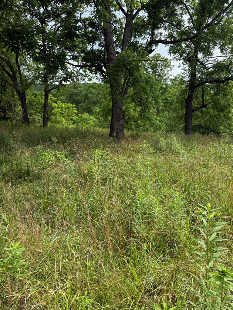 3282 Qualla Road Hayesville, NC 28904 - Photo 6 of 6