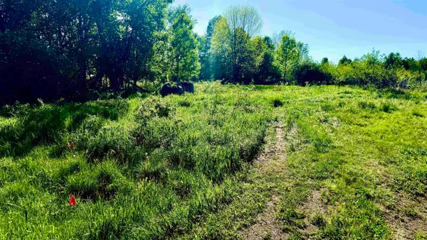 $109,900 | Lot 3 Eau Claire River Road, Ringle, WI 54471