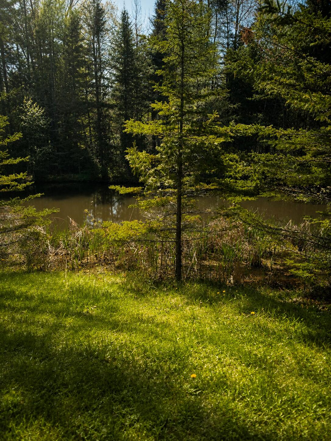 352 Harriman Point Road Brooklin, ME 04616 - Photo 18 of 19 B5CC43E4-9E6E-4146-8A3D-21BF0A83948E