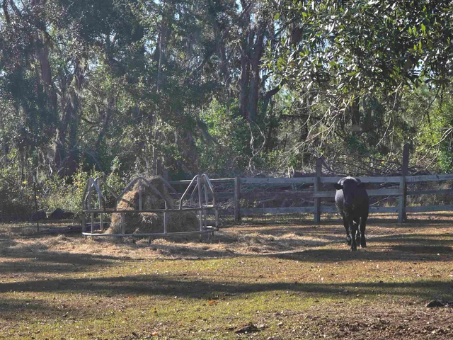 $342,000 | 3297 Rutherford Road, Lee, FL 32059