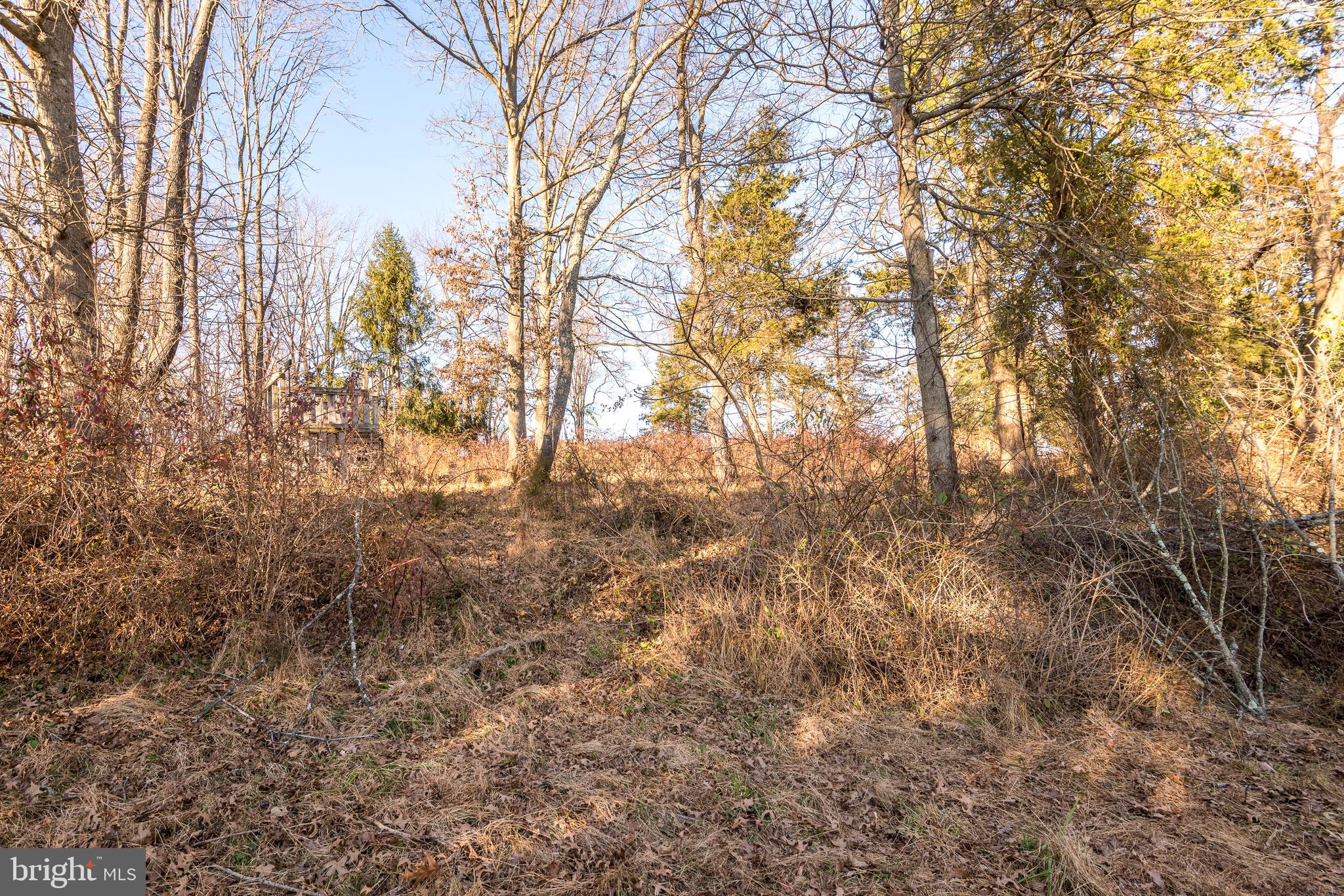 518 South Perkasie Road Perkasie, PA 18944 - Photo 61 of 66 wooded behind house
