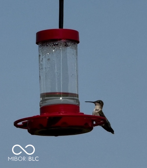 634 Kilmore Drive Pendleton, IN 46064 - Photo 44 of 56