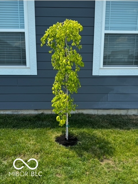 634 Kilmore Drive Pendleton, IN 46064 - Photo 49 of 56