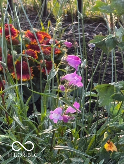 634 Kilmore Drive Pendleton, IN 46064 - Photo 52 of 56