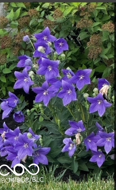 634 Kilmore Drive Pendleton, IN 46064 - Photo 56 of 56