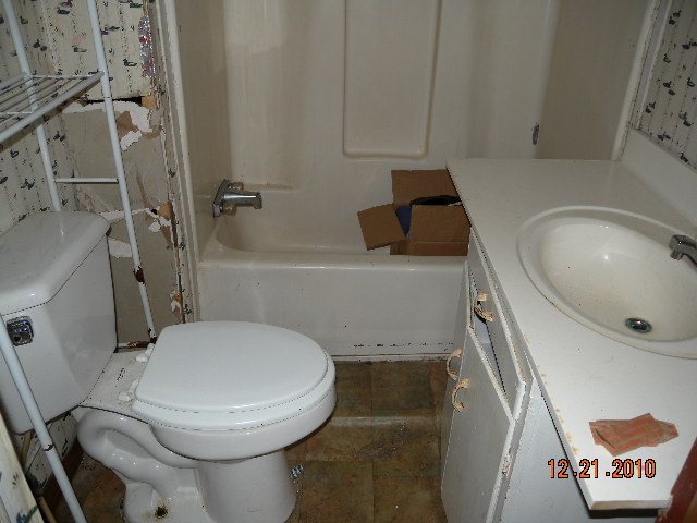 6261 Dillons Mill Road Callaway, VA 24067 - Photo 13 of 16 a bathroom with a toilet and a sink
