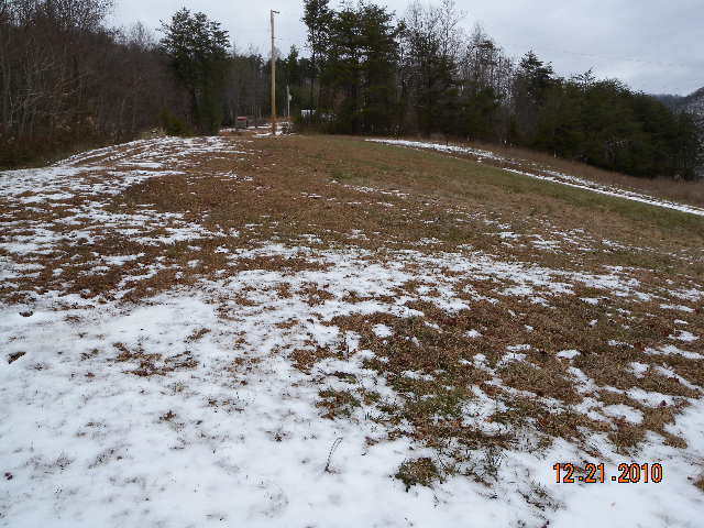 6261 Dillons Mill Road Callaway, VA 24067 - Photo 16 of 16 a view of outdoor space with trees