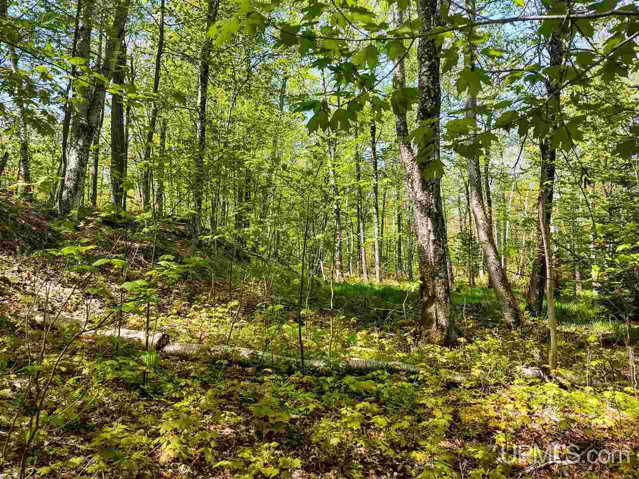 Tbd-parcel Point Abbaye Road Lanse, MI 49946 - Photo 22 of 26 Gallery Image 22