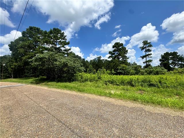 72045 South Lewiston Road Kentwood, LA 70444 - Photo 9 of 17