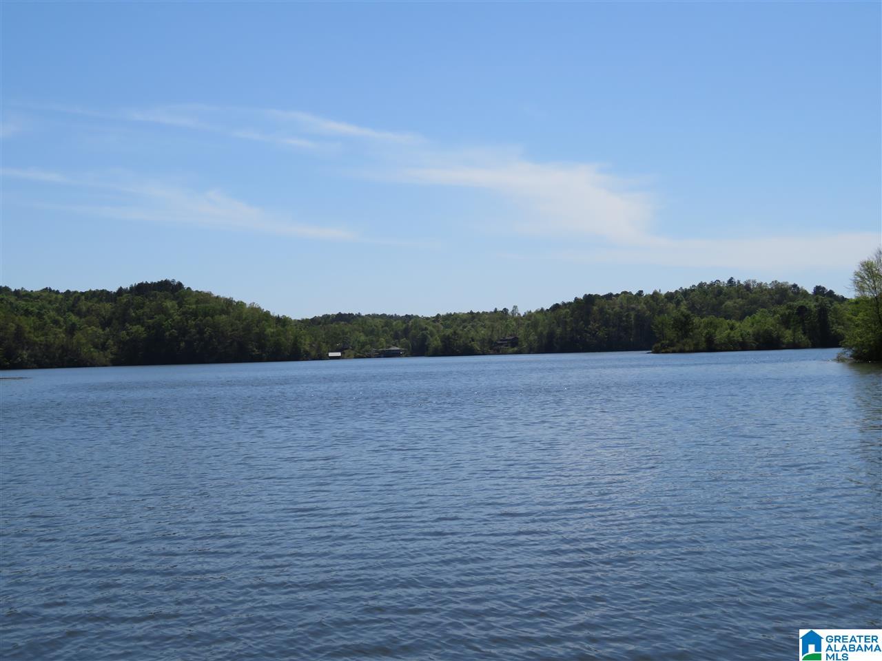 Lot 15 Eagle Point Trace, Unit 15 Alexander City, AL 35010 - Photo 8 of 11