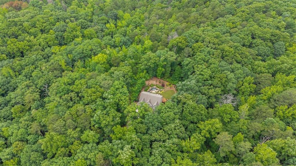 4475 Liberty Road Villa Rica, GA 30180 - Photo 62 of 63