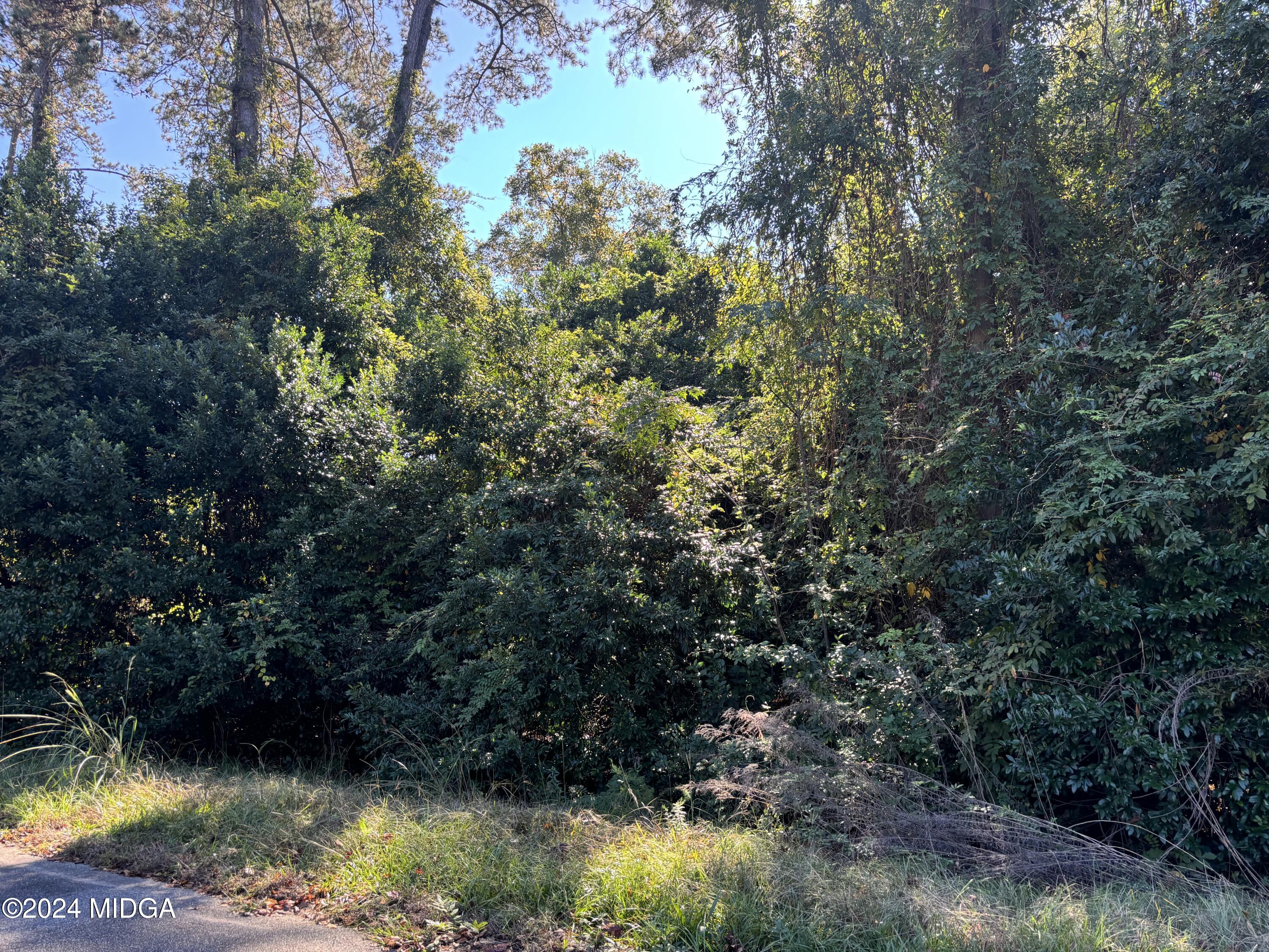 106 Ida Avenue Warner Robins, GA 31088 - Photo 2 of 3 a view of a lake view