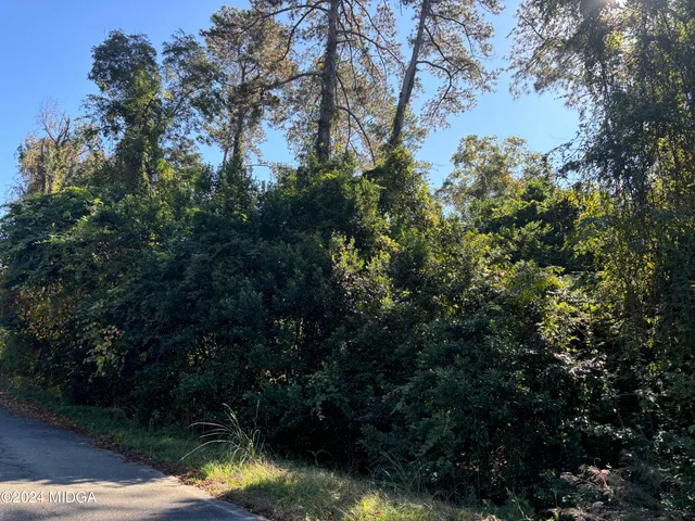 a view of outdoor space and a yard