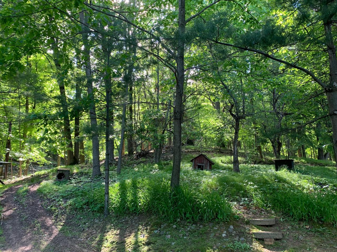 10619 West Rost Lake Road Coleman, WI 54112 - Photo 22 of 35 Gallery Image 22