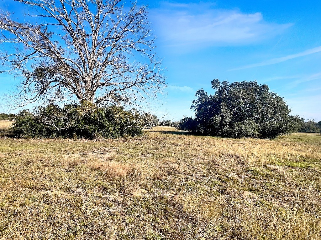 200 Cr 200 Road Weimar, TX 78962 - Photo 6 of 8 a view of ocean view