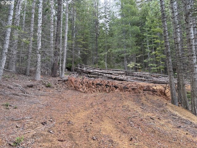 6 Royce Pine Road Crescent Lake, OR 97733 - Photo 6 of 11 a view of a yard with trees
