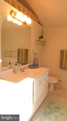 a bathroom with a sink a toilet and mirror