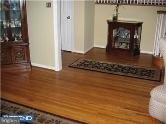 45 Mercer Hill Road Ambler, PA 19002 - Photo 2 of 12 Foyer
